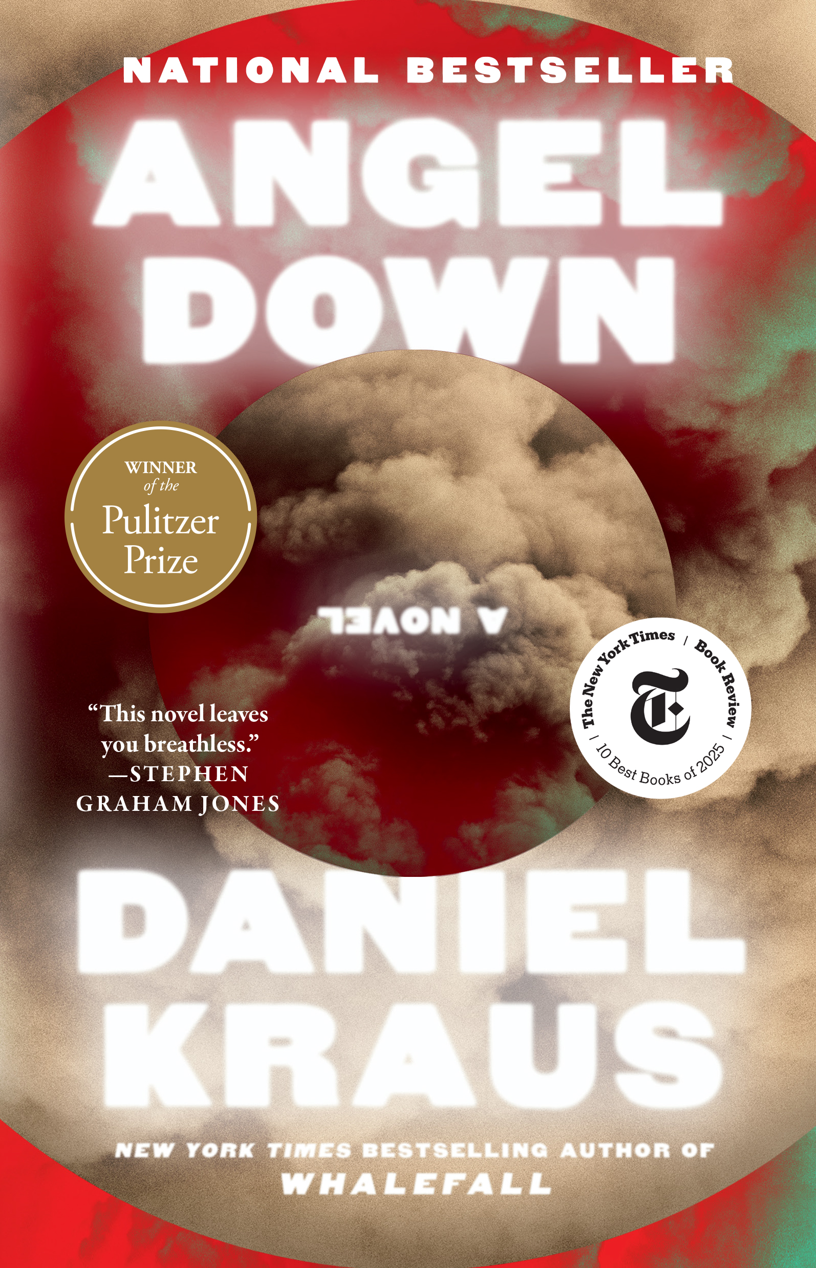 Cover of Angel Down